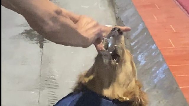 来自爷爷的爱，不得不爱