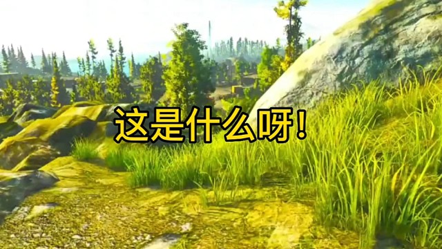 逃离塔科夫:这是什么呀！