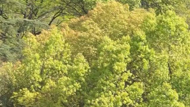 连崩溃都要考虑后果的人
你说她是懂事还是无能为力