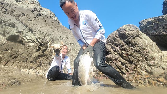 台风过后岛上水坑海货又多又生猛，小明叫来阿峰帮忙抓得忙不过来
