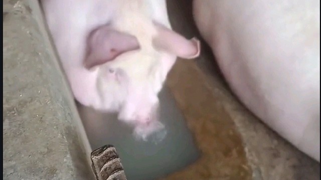 你个小淘气，怎么还学会吹泡泡