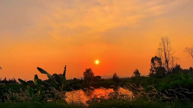 给进步留一点转圜的余地为成长留一点饱满的空间改变是更好的选择向前才能看见新的风景