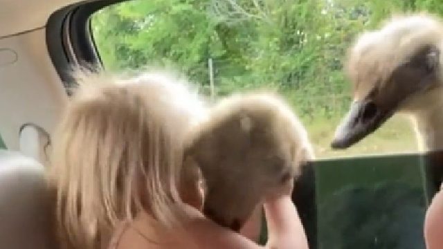 抱一下嘛，就抱一下，就一下下