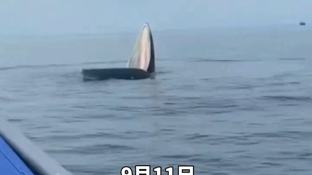 这个得要多大的棉签啊(〜￣▽￣)〜