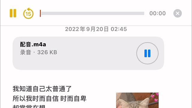 我不藏不躲，等生活爱我