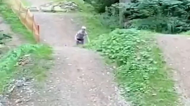 狗:哎呦，老毛病又犯了