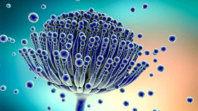 稚嫩的脸庞留下了深沉的印记