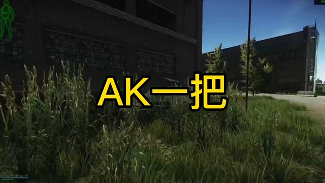 逃离塔科夫:AK一把！