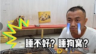 【囧囧宠物-涛哥】涛哥跟 黑狗抢位置睡觉？！