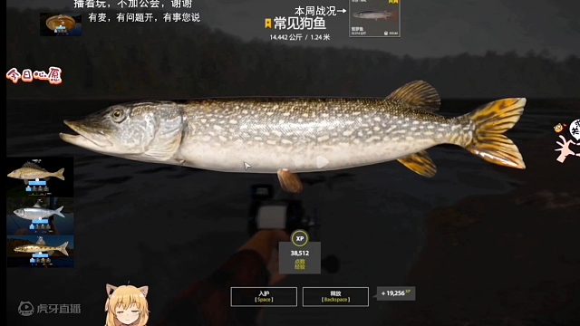 当狗子爆口，现实打9小时狗子会发生什么？（抽停星狗合集）