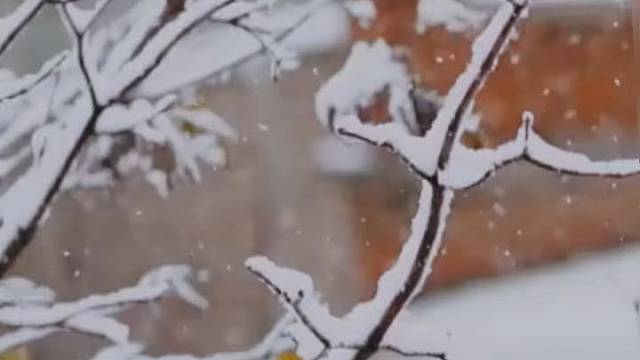 相爱和分开都是罪