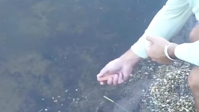 这鱼做梦都没想到