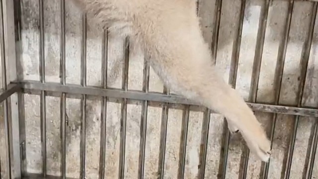 看什么看，快点来救我噻！