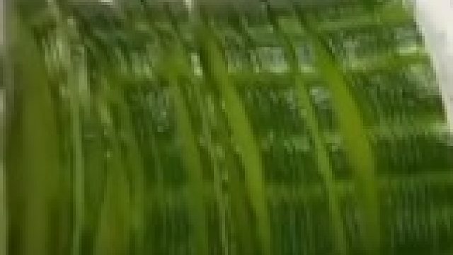 兰州拉面：明天直接上班