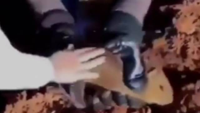 善良的人心里受到了很大的创伤