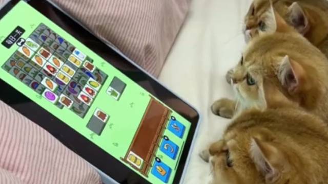 整得我都想给它仨消了