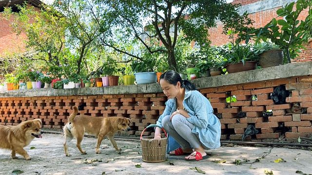 女儿上学不在家，媳妇偷偷买了啥？孩子回来心里偷着乐
