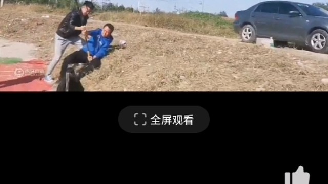真爽啊