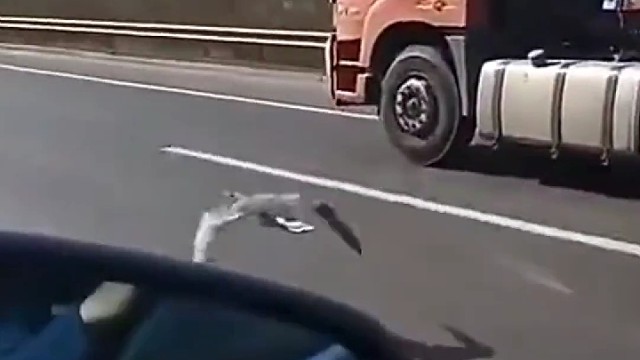 不懂就问:这是什么车？百公里油耗多少？