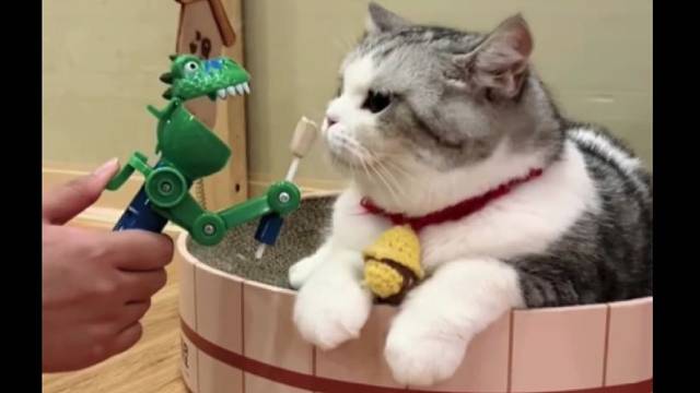 到底给不给我吃！