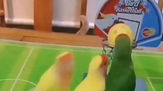 这是一场激烈的比赛