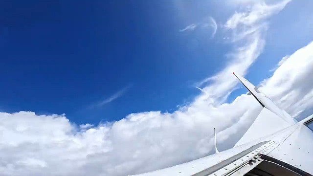 #跳伞，有人问我，在天上看海是什么感觉。我说“感觉少一根鱼竿”