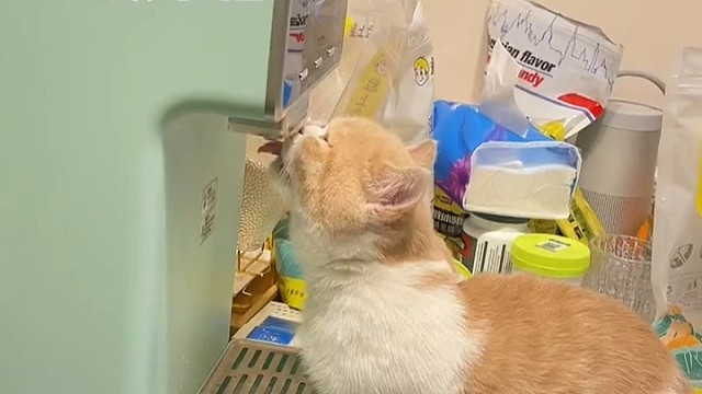 还可以这么操作？最后的表情亮了！