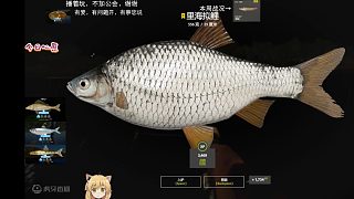 28圖—星里海擬里（86星），折磨半年