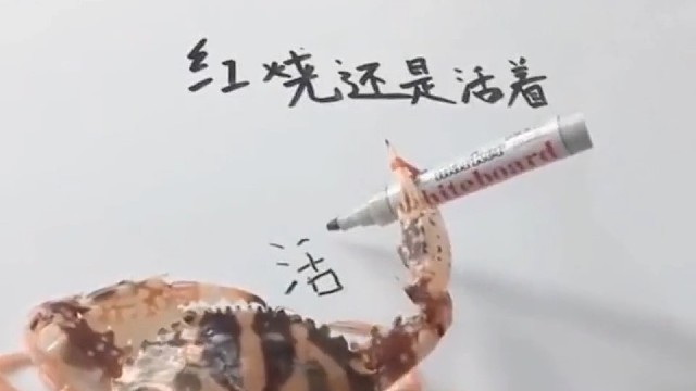螃蟹写的字真好看