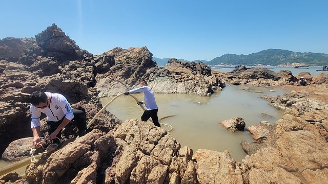 运气太好了，水坑抽干连续发现值钱大货，一个比一个大，惊喜不断