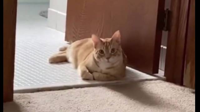 惊不惊喜，意不意外？