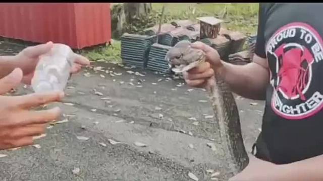 就这点毒能毒死五头牛吧