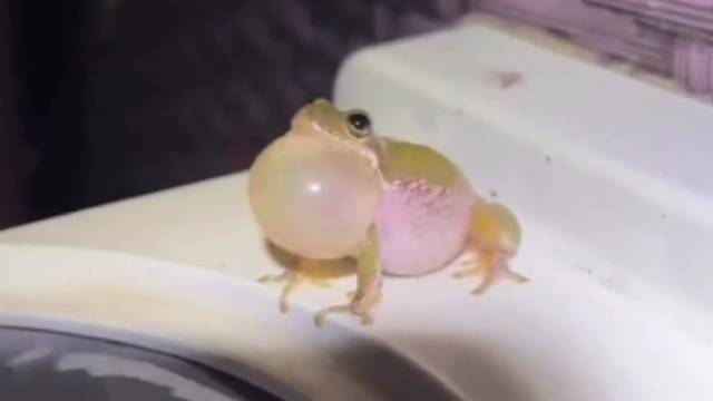 强迫症的人都说好想戳破