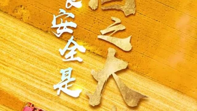 习声回响｜粮食安全是“国之大者”