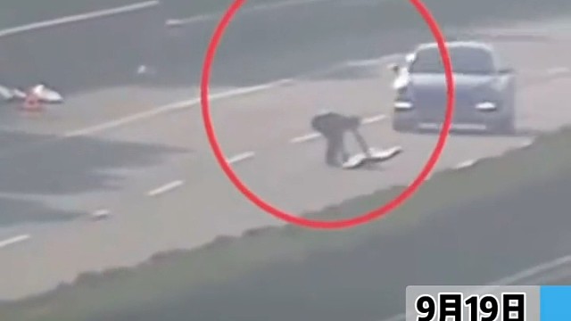 货车司机来回捡拾散落货物险被撞！