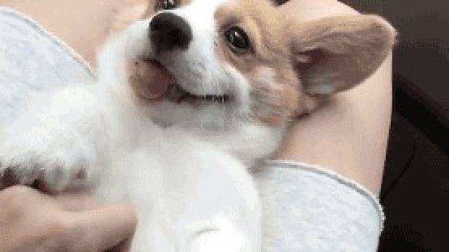 吸汤面-观战-九州VS傲视-2022-9-23-20:18