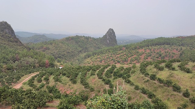 继续逛我家的果园