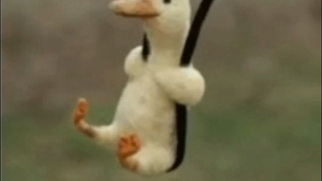 一鸭呦