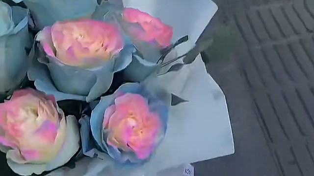 是什么让你不相信爱情