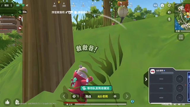 这队友非常厉害