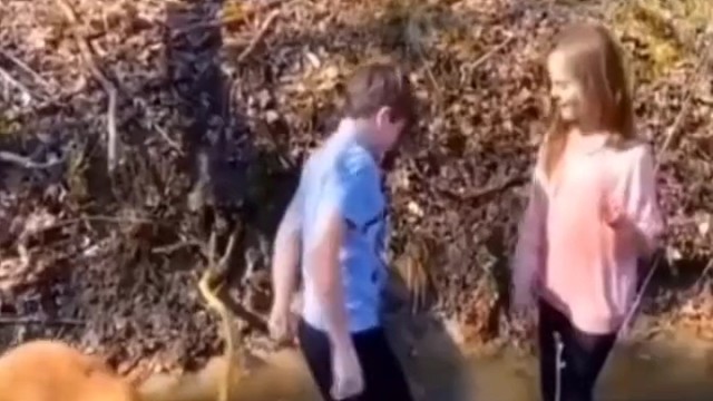 看狗子用力的样子肯定是预谋了很久