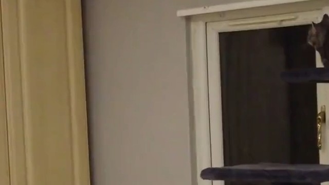 来的时候好好的，回不去了！