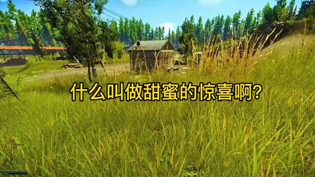 逃离塔科夫:什么叫做甜蜜的惊喜啊？