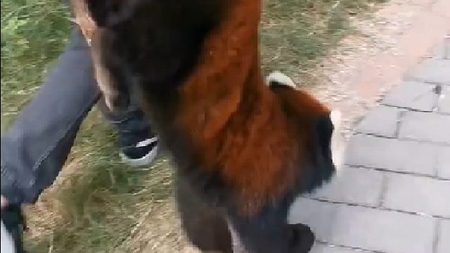 我TM谢谢了  好歹给我留点面子吧