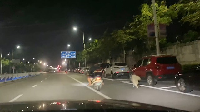 比我都玩儿的溜