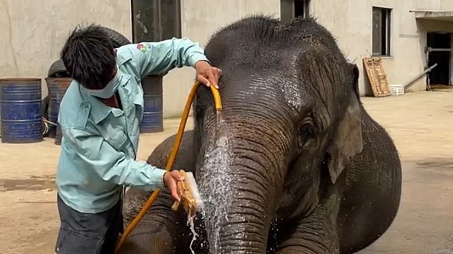 洗个澡手都脱皮了