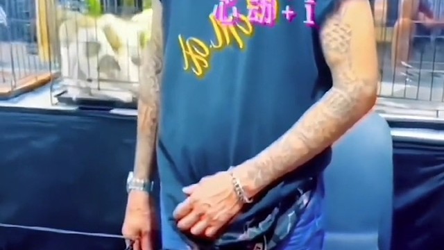 小奶狗主动跳起来求带走