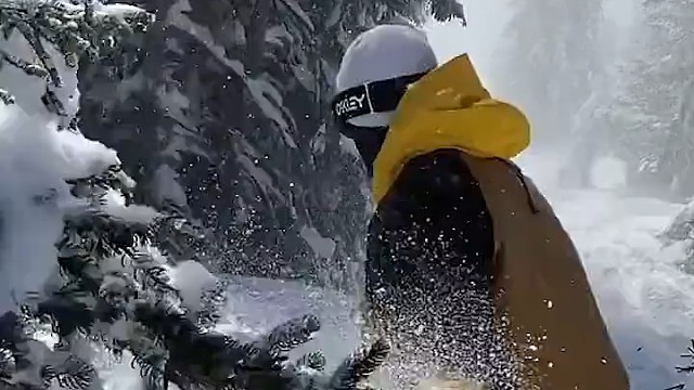 为了骗你去小树林，我想了一个晚上的理由。我的意思是“我喜欢你”