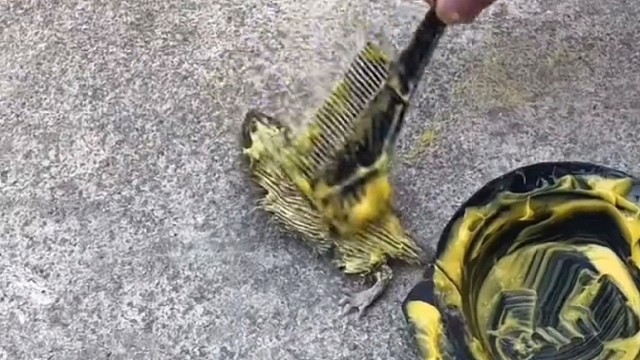 老鼠界最时尚杠把子