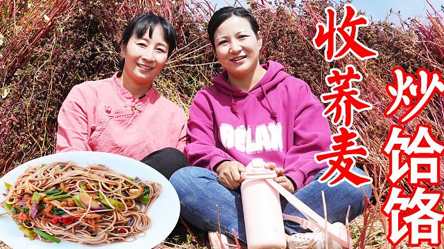 割荞麦堆成垛，春姐用传统方法手工收割，给嫂子做顿炒饸饹，真香